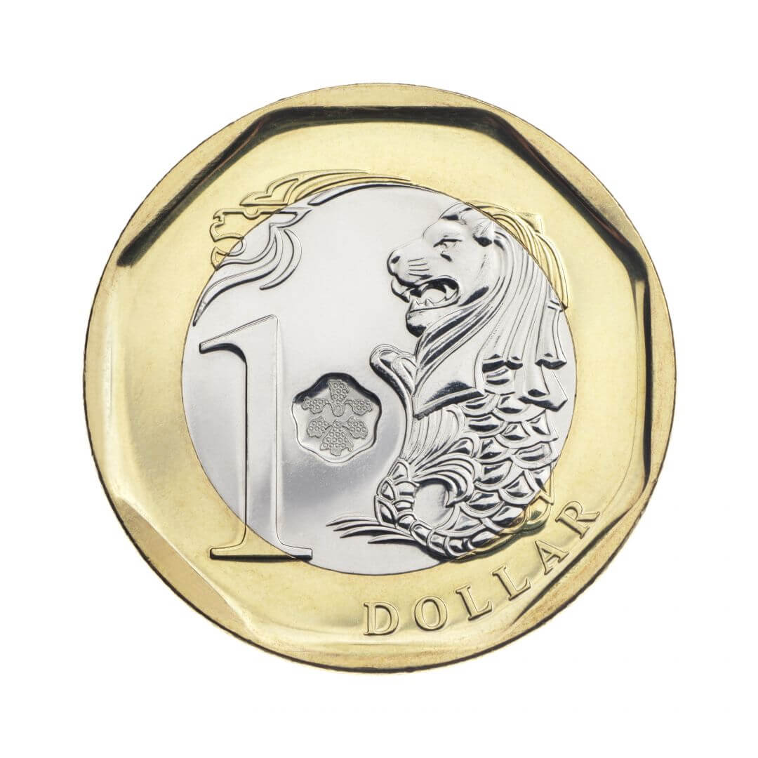1 SGD Coin Taking Care Of My Own Business 1-sgd-coin-taking-care-of-my-own-business