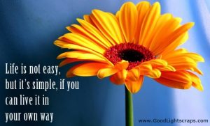 Life is not easy