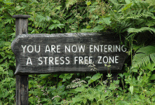 don't sweat the small stuff