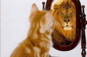 Mirror_Lion_xlarge