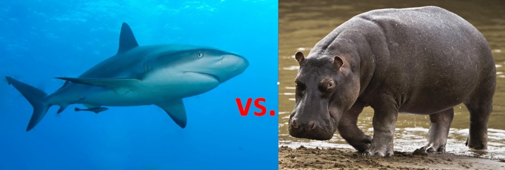 Deadlier Shark or Hippo?