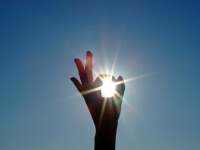 the sun helped us to produce 1 Mwh of electricity