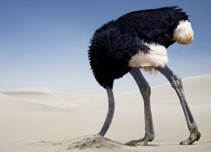 The Ostrich Effect Fallacy