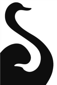 Black Swan Events
