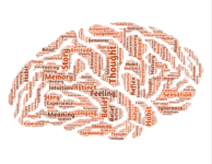 inside our brain