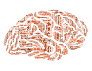 inside our brain
