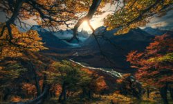 Rational Optimism Pays