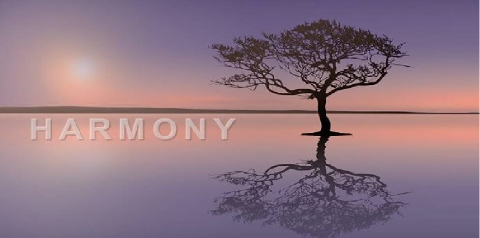 Work Life Harmony is a choice
