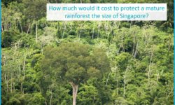 Rainforest Conservation