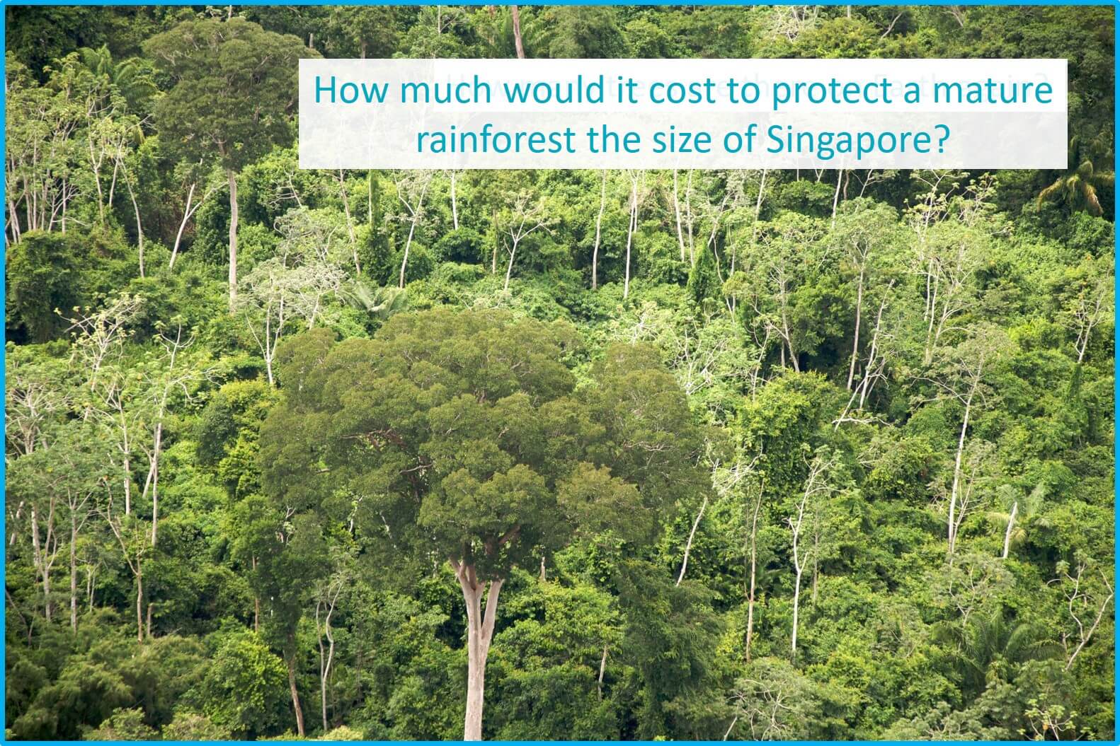 Rainforest Conservation