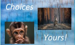 Curing Climate Cancer is our choice